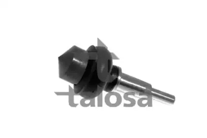 talosa-4706474