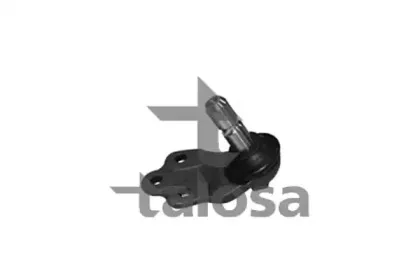 talosa-4707744