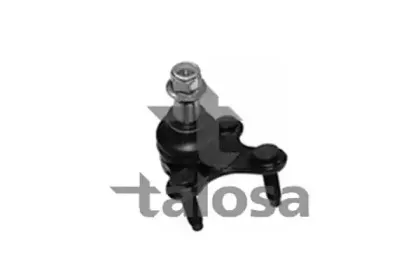 talosa-4708790