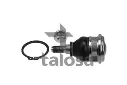 talosa-4708949