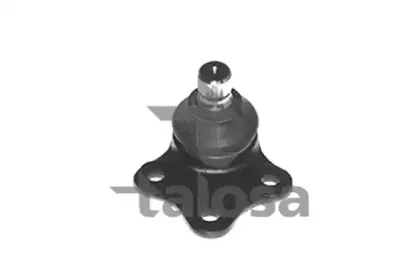talosa-4709178