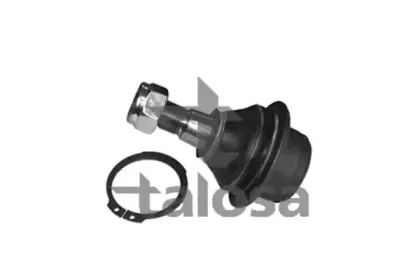 talosa-4709264
