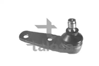 talosa-4709643
