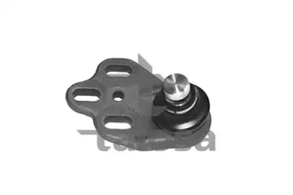 talosa-4709716