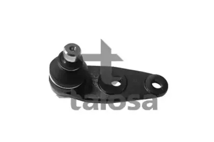 talosa-4709741