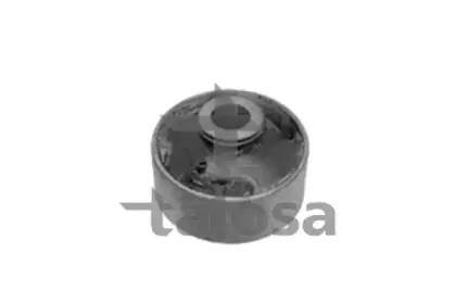talosa-5701324