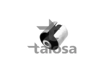 talosa-5701952