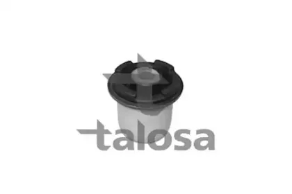 talosa-5702620