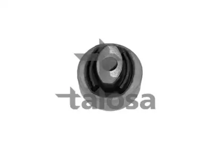 talosa-5703404