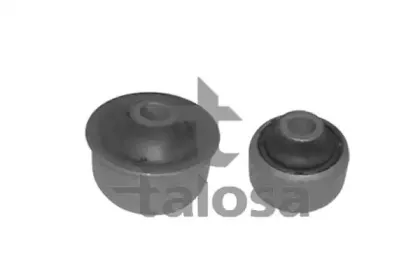 talosa-5705389