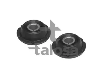 57-05825 TALOSA