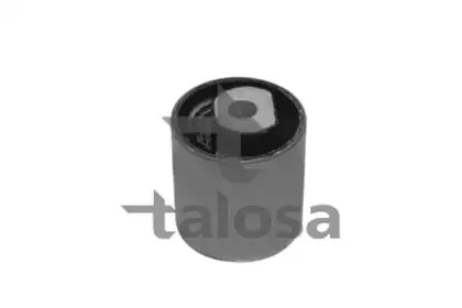 57-08629 TALOSA