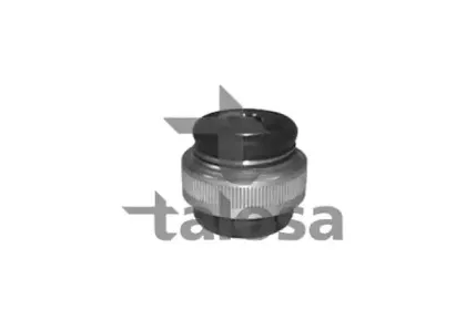 talosa-5709893