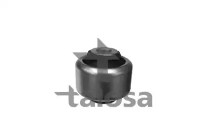 talosa-5709897