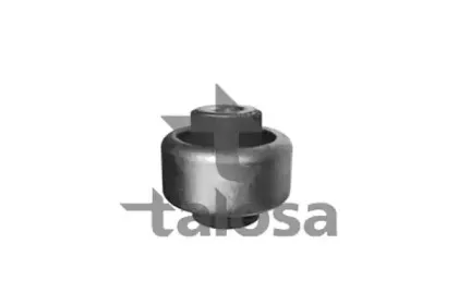 talosa-5709954