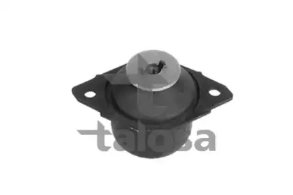 talosa-6105310