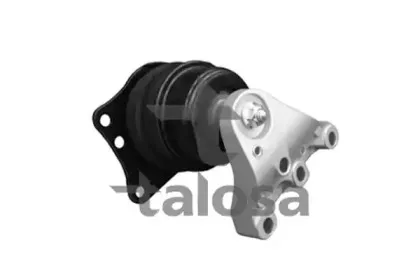 talosa-6105320