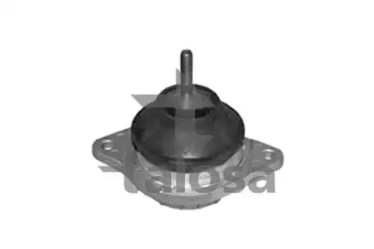 talosa-6106575
