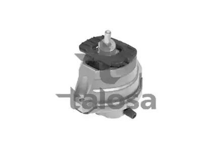 talosa-6106621