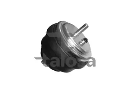 talosa-6106635
