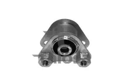 talosa-6106735
