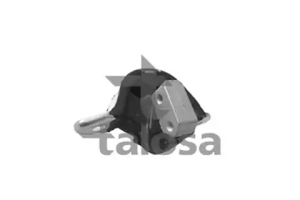 61-06916 TALOSA