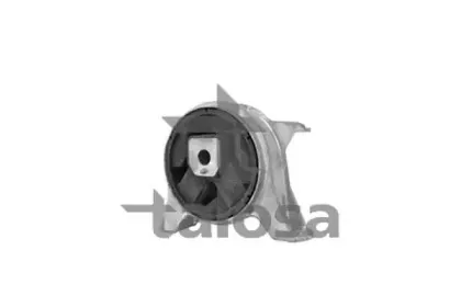 61-06925 TALOSA