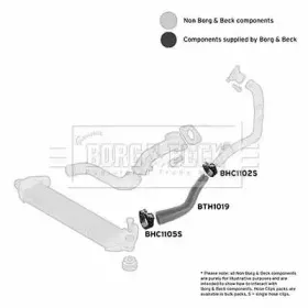 borgbeck-bth1019