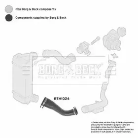 borgbeck-bth1024