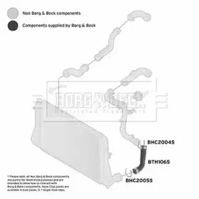 borgbeck-bth1065