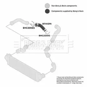 borgbeck-bth1091
