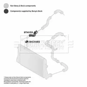 borgbeck-bth1155