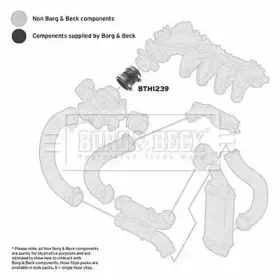 borgbeck-bth1239