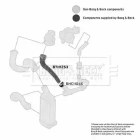 borgbeck-bth1253