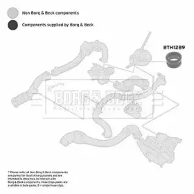 borgbeck-bth1289