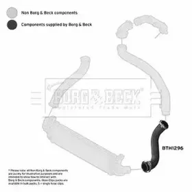 borgbeck-bth1296
