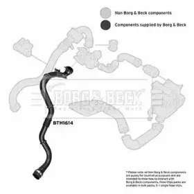 borgbeck-bth1614