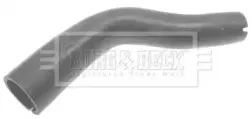 borgbeck-bth1019