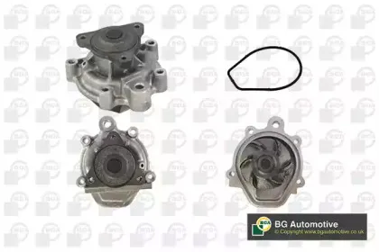 bga-cp18058