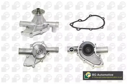 CP2438 BGA Водяной насос