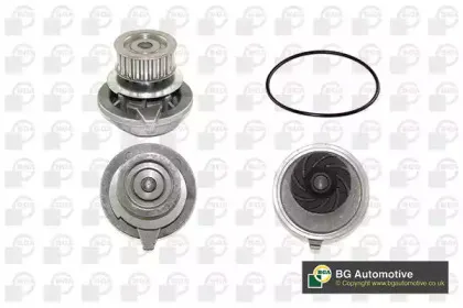 CP2588 BGA Водяной насос