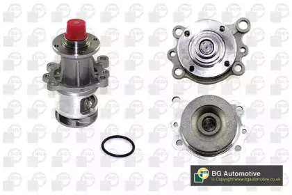 CP2738 BGA Водяной насос