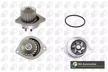 CP2838 BGA Водяной насос