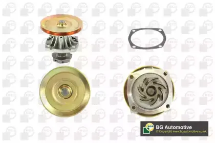 CP3008 BGA Водяной насос