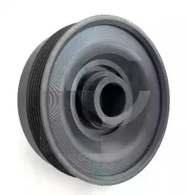 bga-dp1004