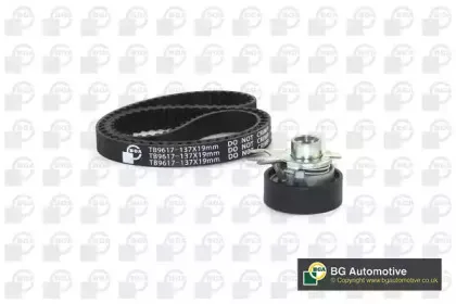 TB9617K BGA Комплект ремня ГРМ
