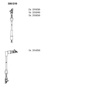 bremi-300219