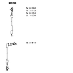 bremi-300220