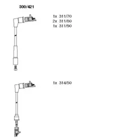 bremi-300421