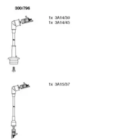 bremi-300796